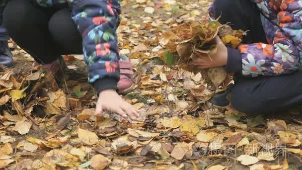 未知的小孩子们在秋天的公园视频