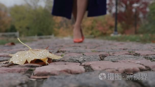 穿着高跟鞋的女人在秋天走在街上视频