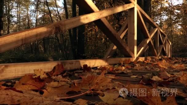 在秋天用太阳射线的木桥梁视频