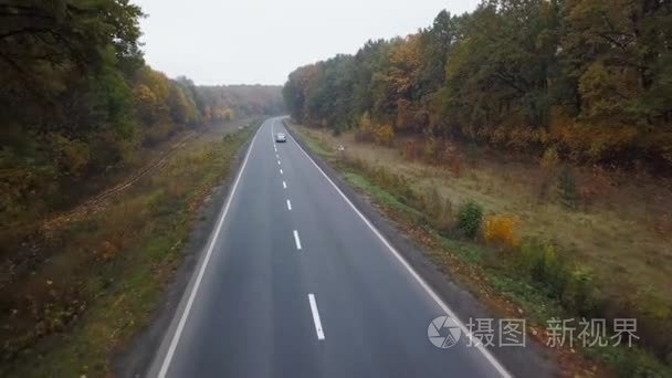 空中观车在被秋林包围的道路上视频