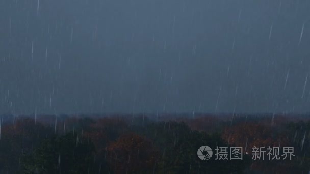 森林里的雨和闪电