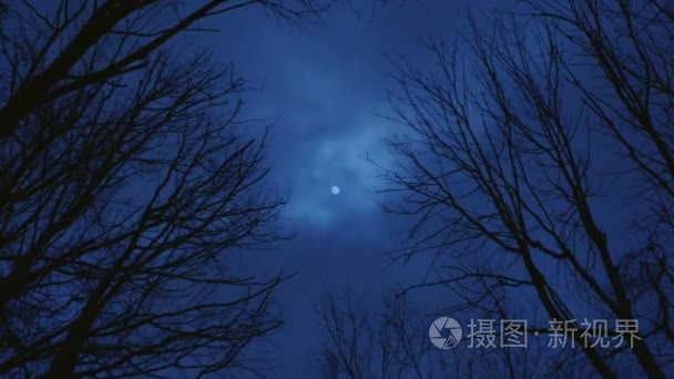 星星和月亮夜空的时间流逝视频