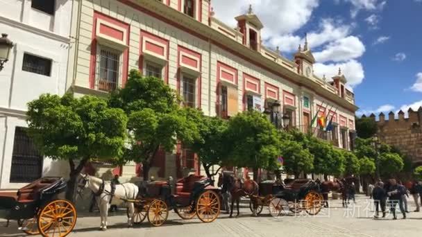 西班牙塞维利亚游客的马匹运输