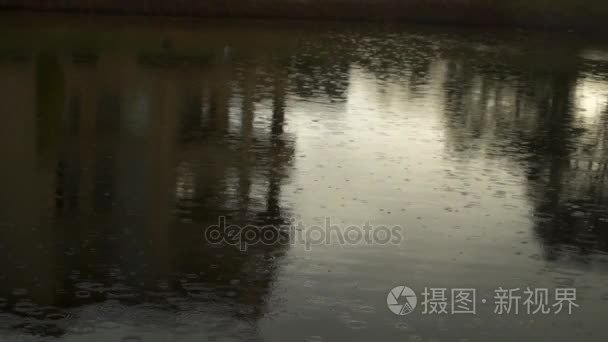 雨点洒在湖面上浇雨的夏日视频