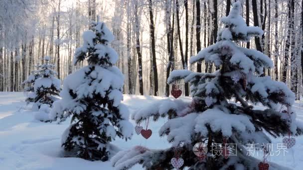 冬天的雪, 树枝上的圣诞心在风中摇摆