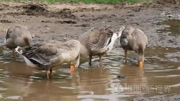 焊接金属时进行电焊视频