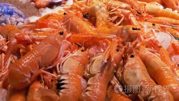 在 Boqueria 鱼市场的柜台上的冰上的红色小龙虾。巴塞罗那.西班牙