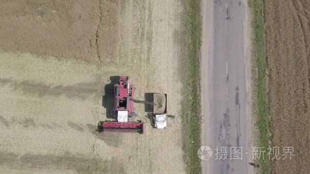 联合收割机油菜籽入卡车车身视频