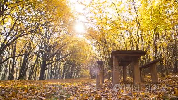 野餐地方在秋天森林里视频