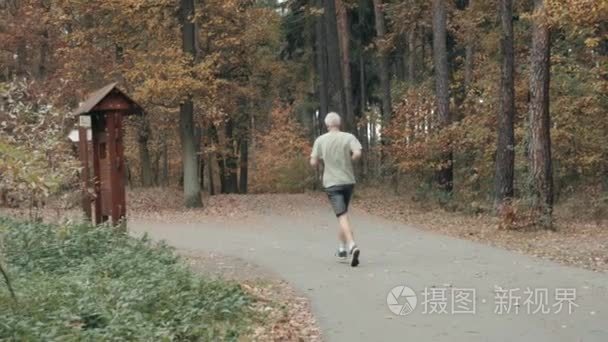 老年人在秋季森林公园步行或跑步的后方后视图。健康的生活方式