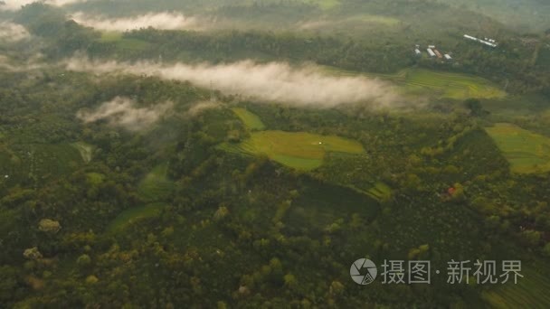 山景景观。巴厘岛