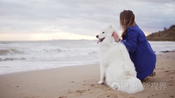 一个年轻的女人坐在沙滩上, 拥抱她的狗的萨摩耶养殖在海边的背面的看法。白色蓬松的宠物在海滩看海。真正的友谊。Slowmotion