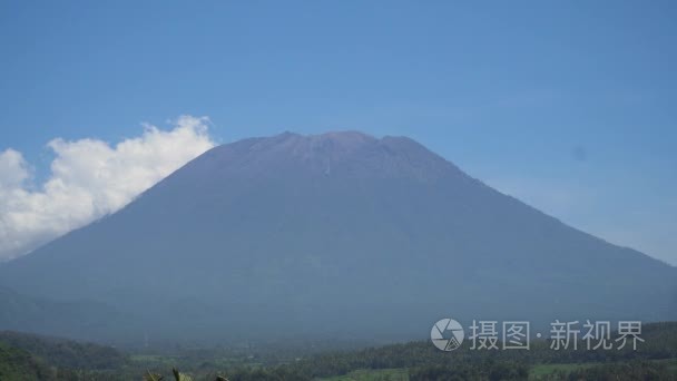 山森林风景的看法。巴厘岛