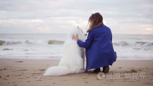 一个白色的萨摩耶和年轻女子坐在海边的沙滩上的背面的看法。白色蓬松的宠物在海滩看海。真正的友谊。Slowmotion 射击