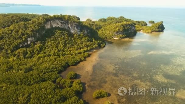 与热带岛屿 沙滩 岩石和波浪的海景。薄荷岛，菲律宾