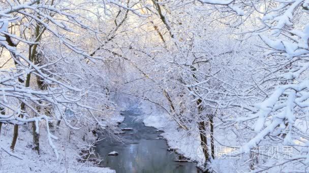 结冰的树在河的雪之下