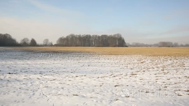 冬季覆盖着雪的草甸和湿地  景观 Poodri  保护景观面积  非常好  世界范围内湿地