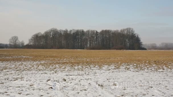 冬季覆盖着雪的草甸和湿地  景观 Poodri  保护景观面积  非常好  世界范围内湿地