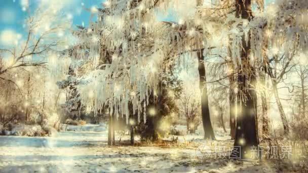 冬天公园在一个晴朗的天。在寒冷的日子里被雪覆盖的树木  道路