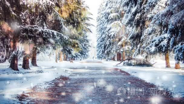 冬天公园在一个晴朗的天。在寒冷的日子里被雪覆盖的树木  道路