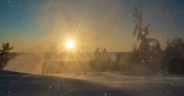 吹雪 吹雪视频大全 吹雪视频合集 摄图新视界视频素材库