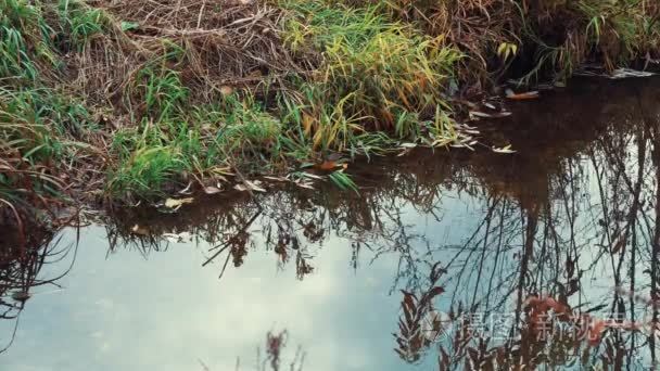 小河流在秋天的村庄里流淌视频