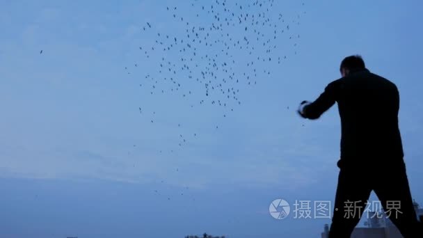 在屋顶上和飞鸟一起拳击视频