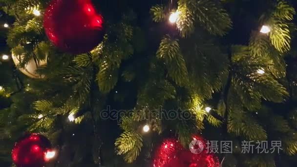 户外市场的圣诞树视频
