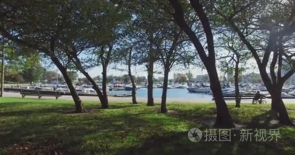 公园在芝加哥与尼斯背景视频