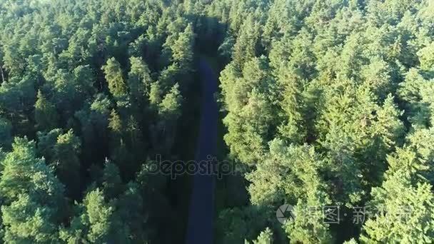 以上道路和森林飞行