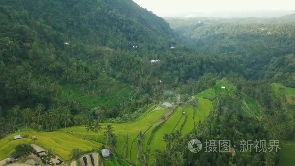 米梯田上空的空中视频视频