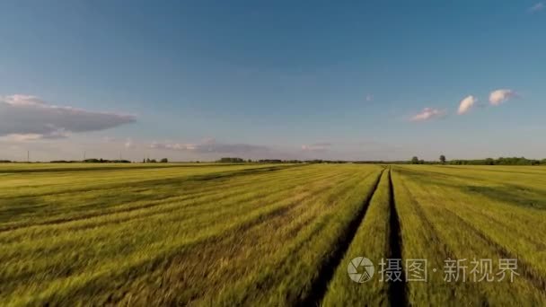 鸟瞰图。日落.在一座绿色的多岩石的山丘上飞行。俄罗斯。夏天