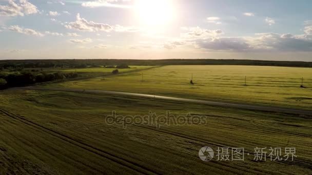 空中视野  领域  俄国  夏天  黑麦  收获  庄稼  2017