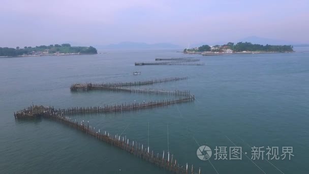 海上竹鱼陷阱视频