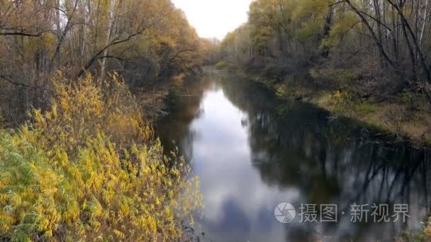 一个黄色的秋天森林包围的池塘视频