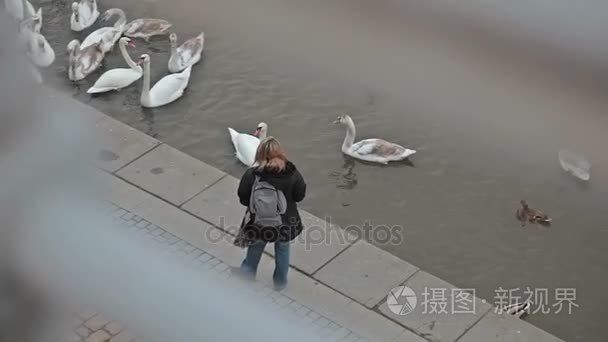 河流上的码头视频