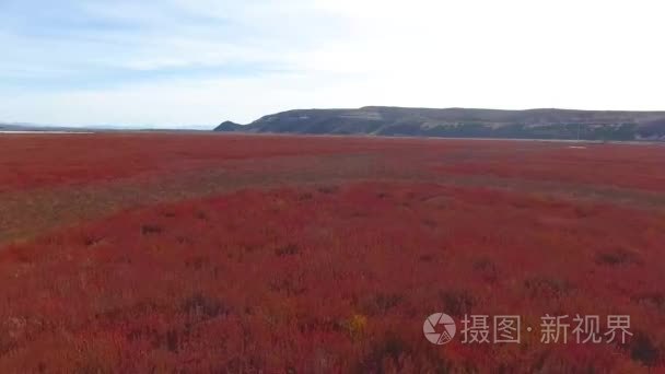 沼泽土地保护区视频