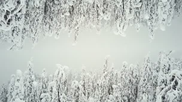 森林在雪作为2世界。字幕的屏幕保护程序