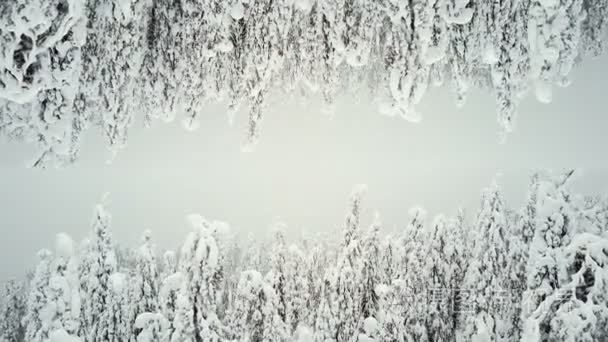 森林在雪作为2世界。屏幕保护程序芬兰字幕