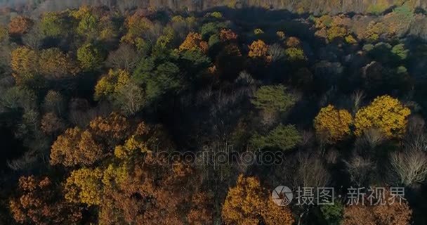 宾夕法尼亚州秋谷戏剧性上升的鸟瞰图视频