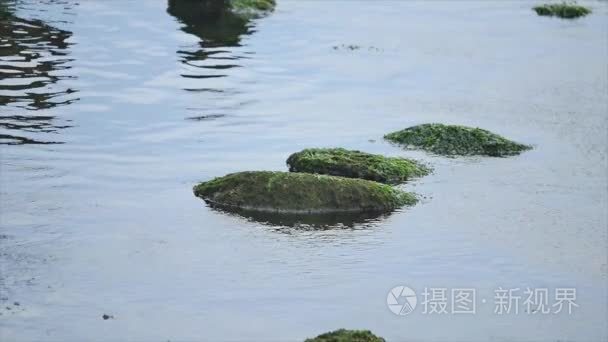 波浪慢动作的海中石视频