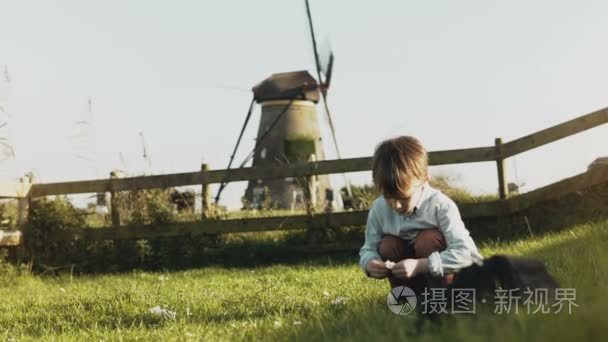 小高加索男孩在乡村风车附近玩耍。快乐的孩子在乡村风光中收集鲜花。安宁.4k