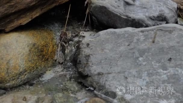 水在山区河流在慢动作视频