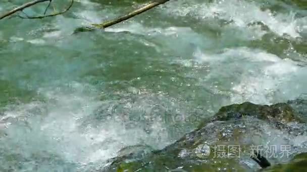 水在快速的山小河视频