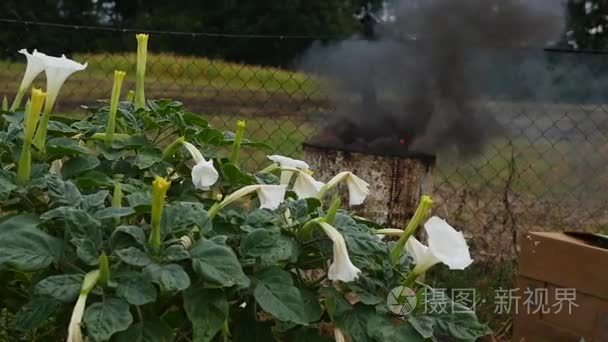 消防桶储油柜视频