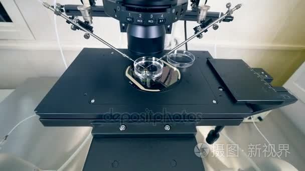 现代医学显微镜中培养皿的地位视频
