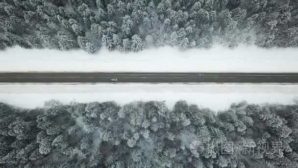 路在冬天森林里。鸟瞰图