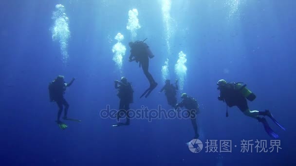 一群潜水员在海面附近做安全站视频