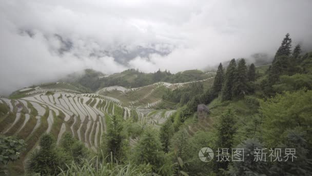 沿山腰的梯田视频