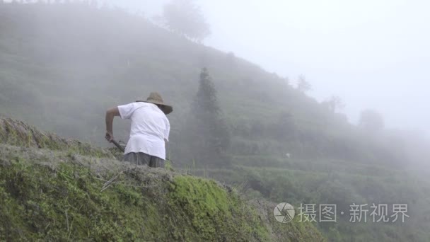 中国农民在大雾的早晨工作土壤视频